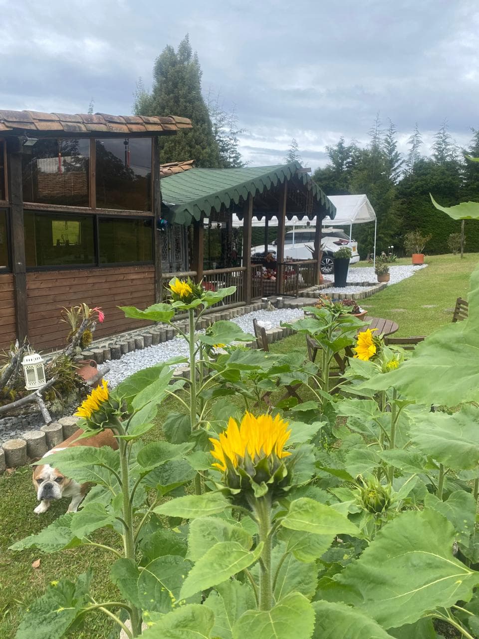 Foto de Casa de campo