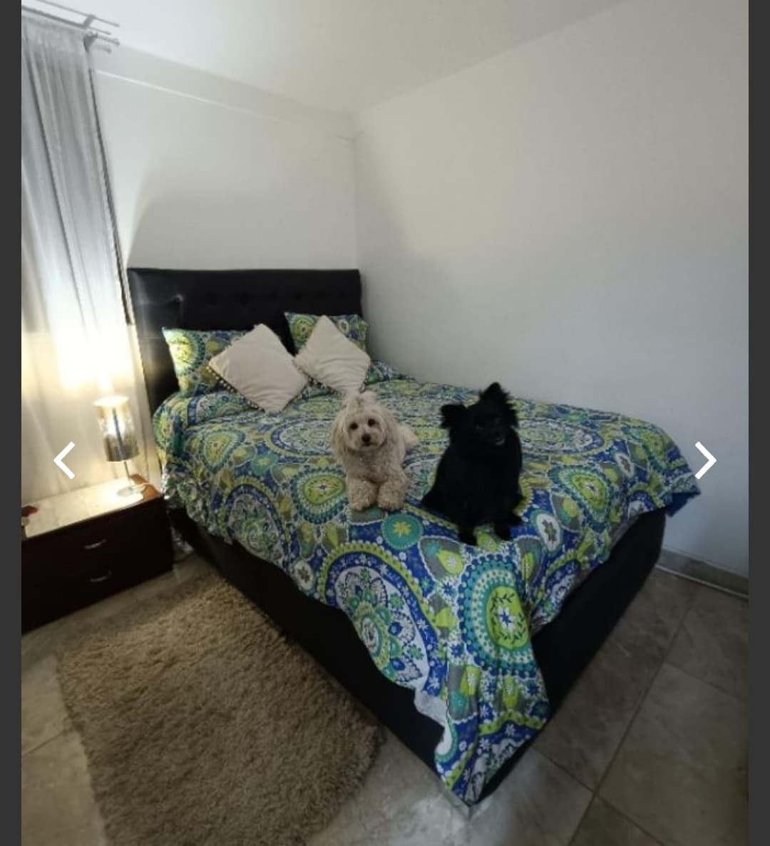 Foto de Peluditos con amor 2