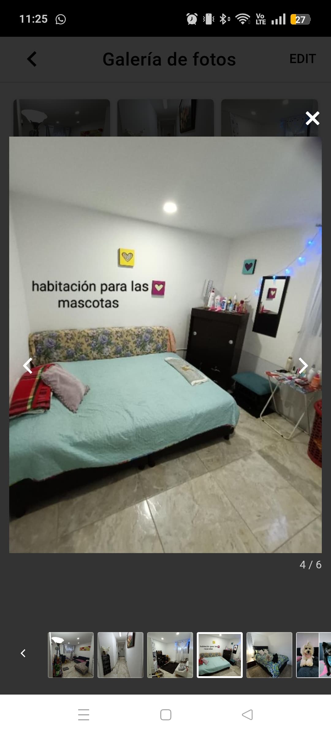 Foto 5 de Peluditos con amor 2
