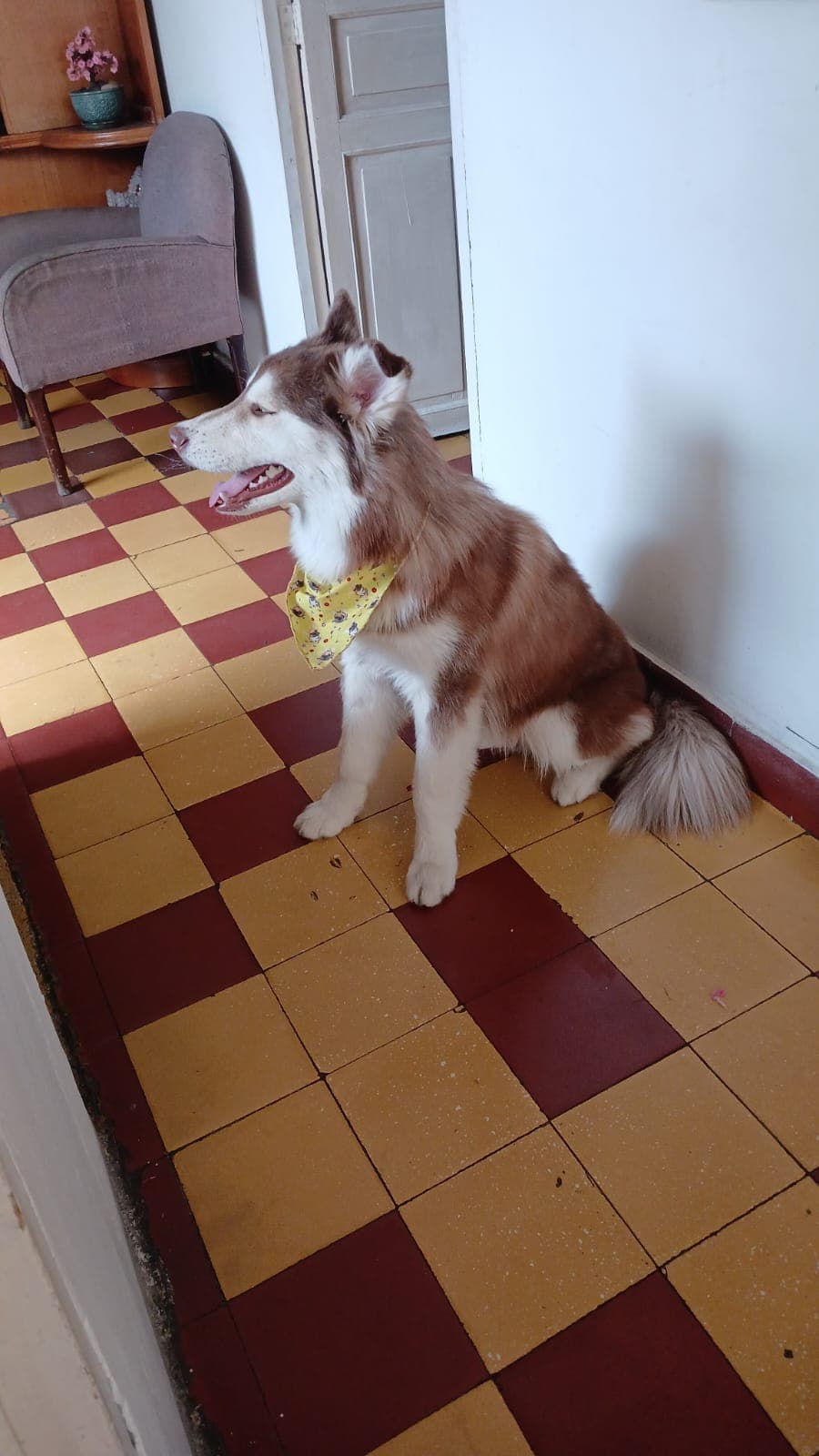 Foto de Tu segundo hogar