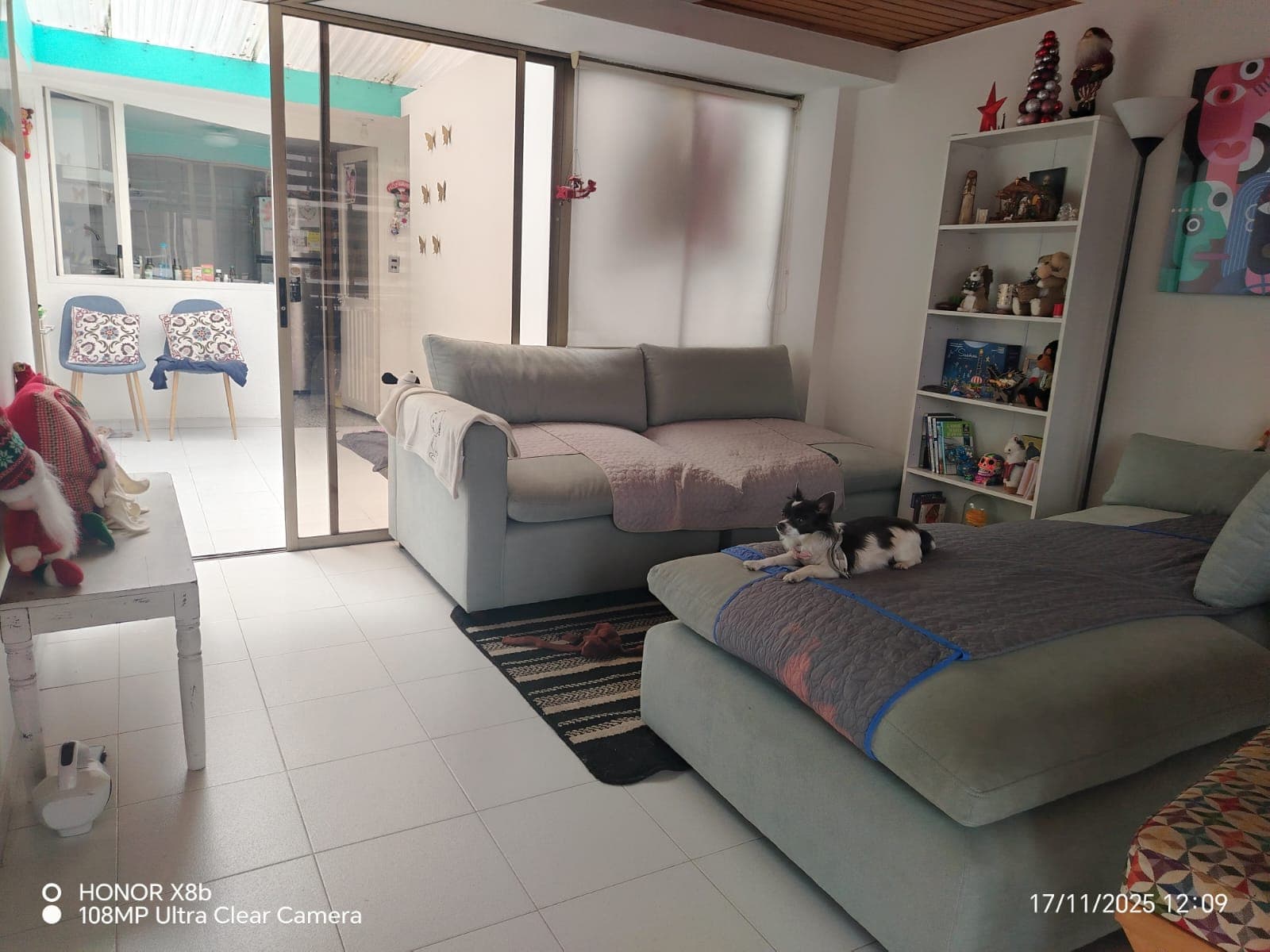 Foto 4 de pet house