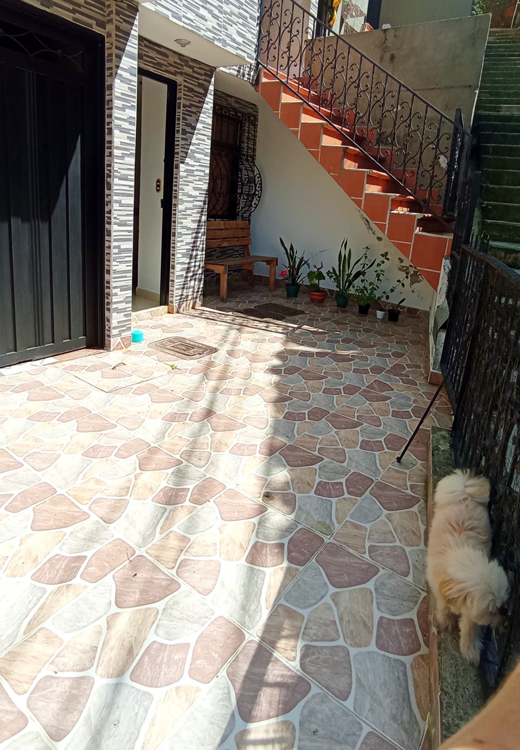 Foto 3 de Abrazos Peludos