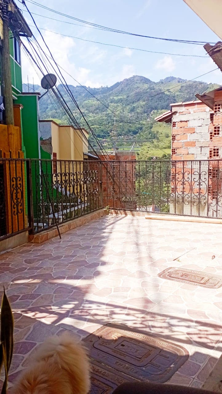 Foto 4 de Abrazos Peludos
