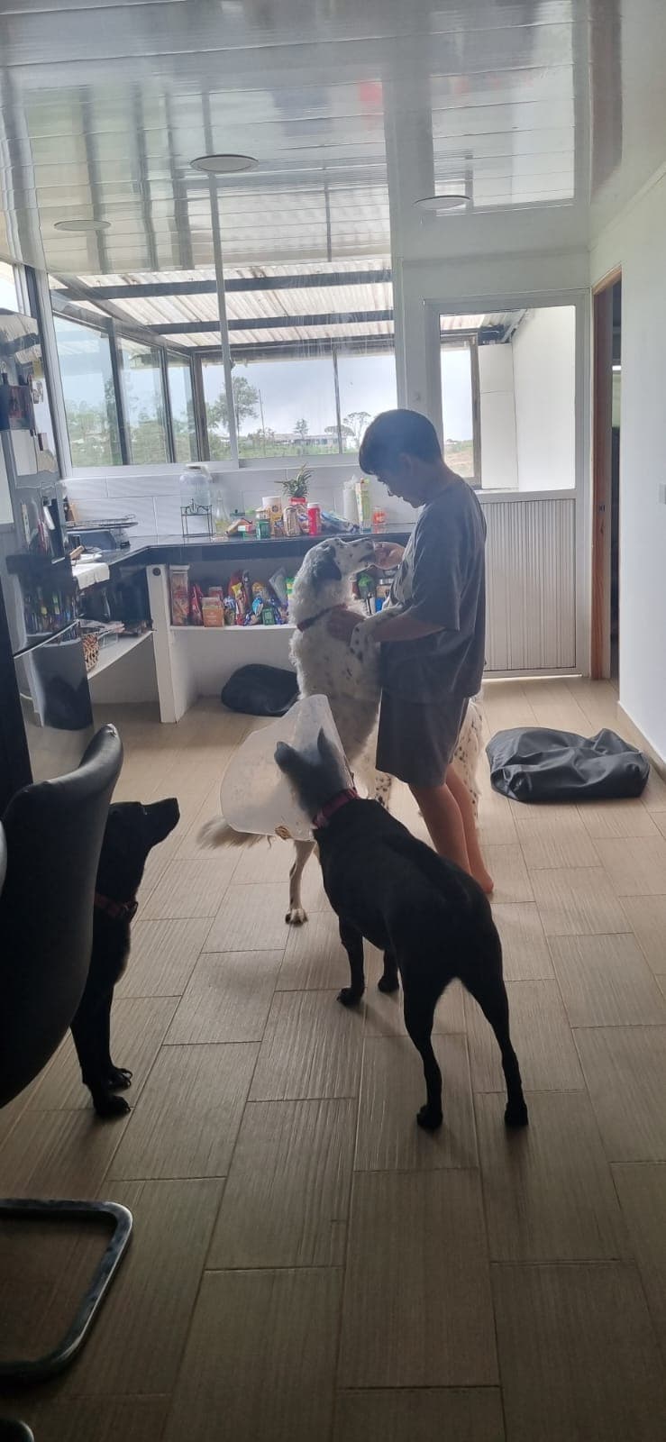 Foto de Mi hogar multiespecie