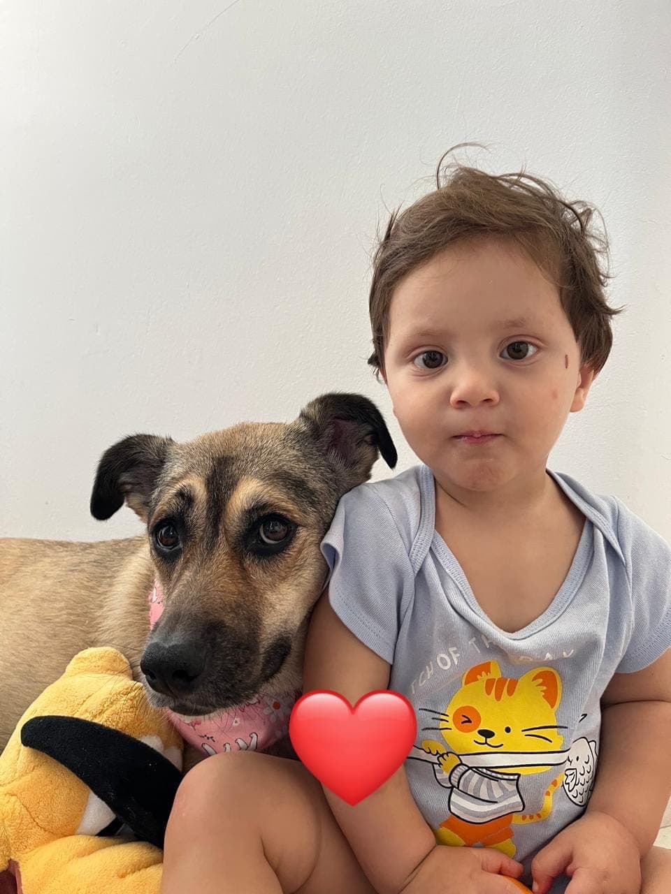 Foto de Mucho amor para los peludos