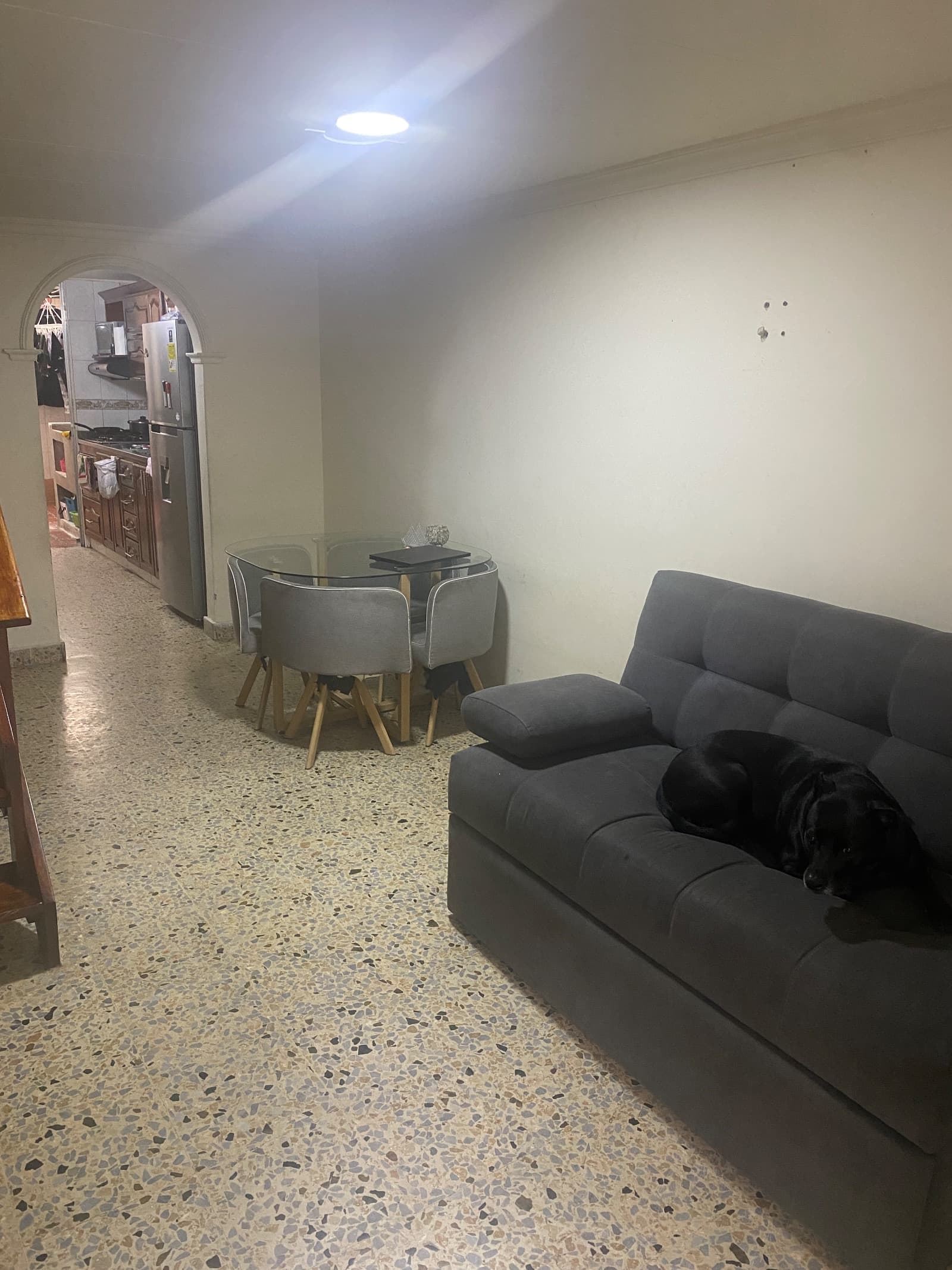 Foto de Patitas Peludas