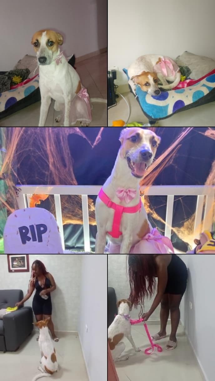 Foto de La casa de Luna