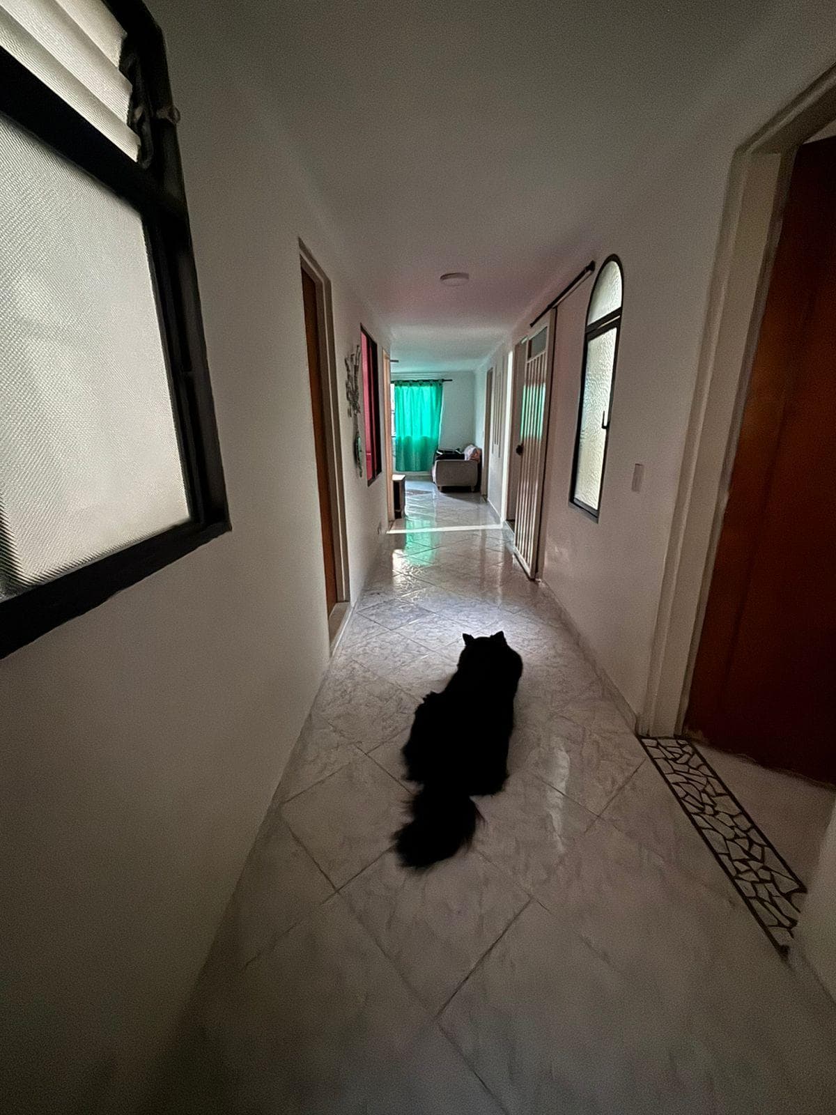 Foto de Huellitas del alma