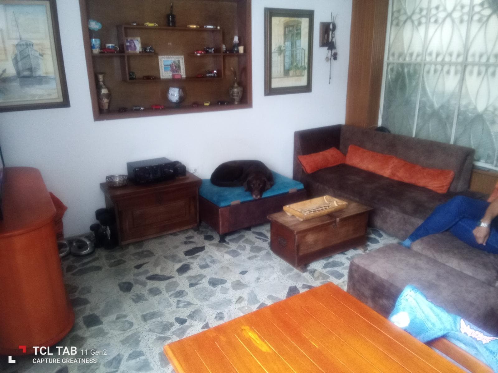 Foto 4 de Dog love house