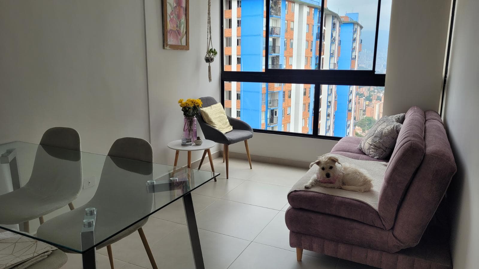 Foto de Hogar perruno Dulce