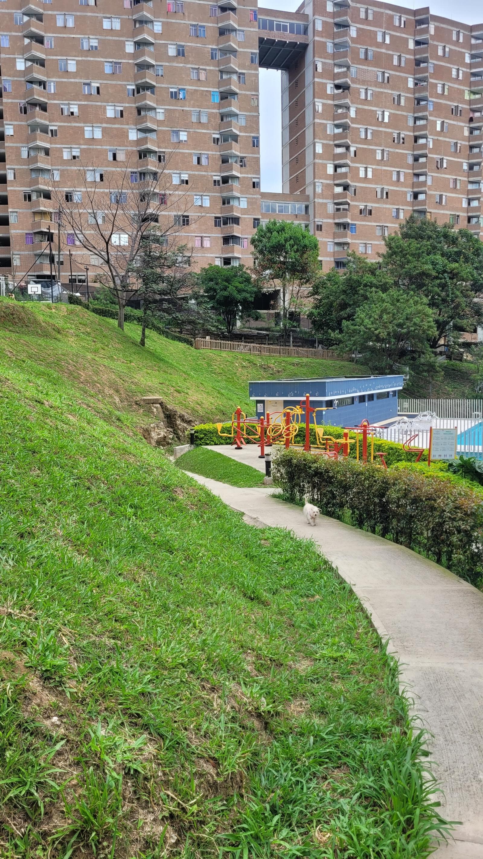 Foto 4 de Hogar perruno Dulce