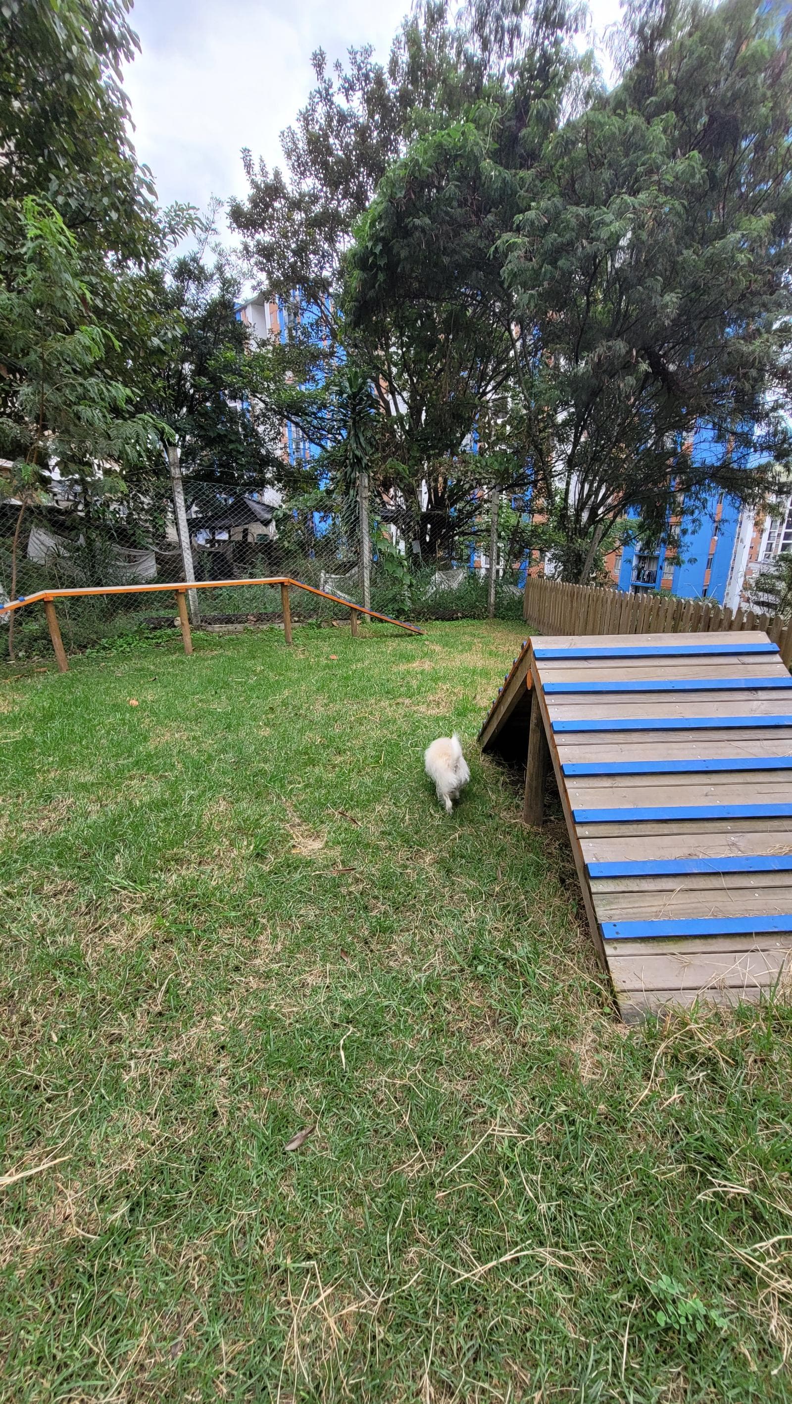Foto 5 de Hogar perruno Dulce