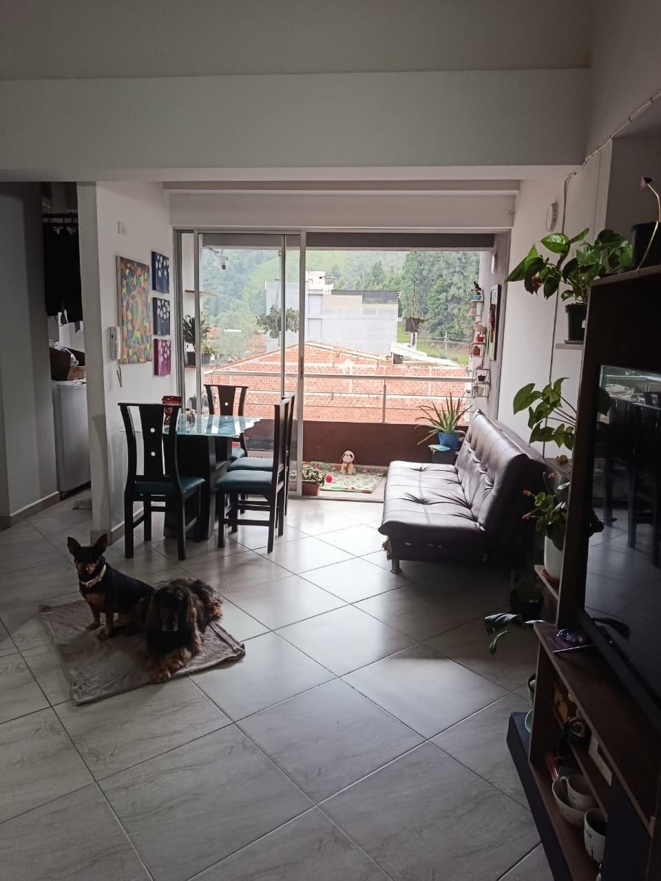 Foto 3 de Familia de PATITAS