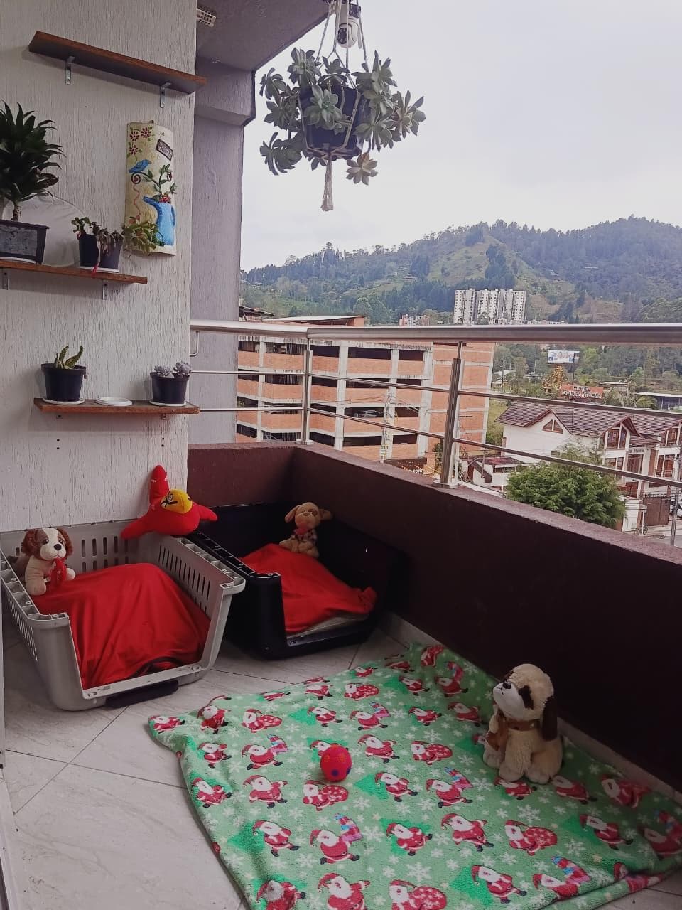 Foto 4 de Familia de PATITAS