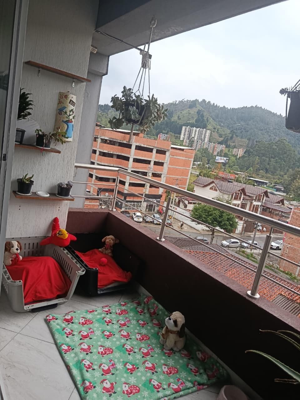 Foto 8 de Familia de PATITAS