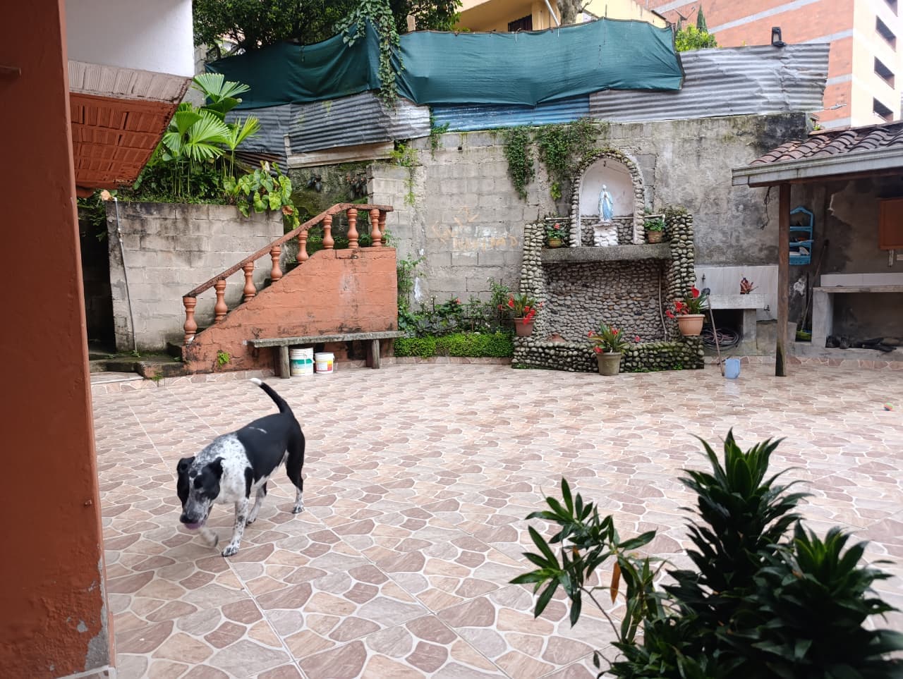 Foto 4 de Mi segundo hogar
