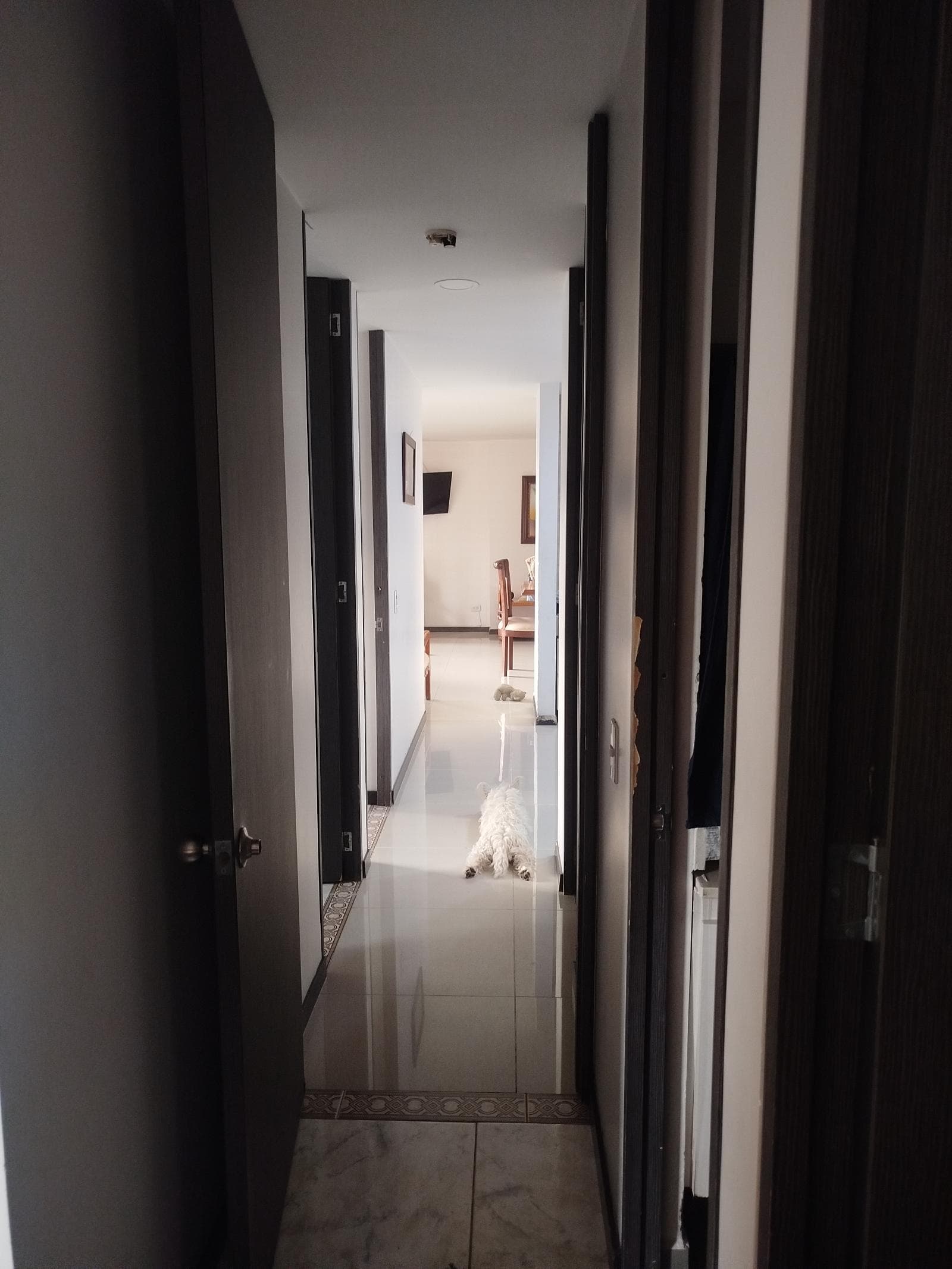 Foto 2 de Hogar confort