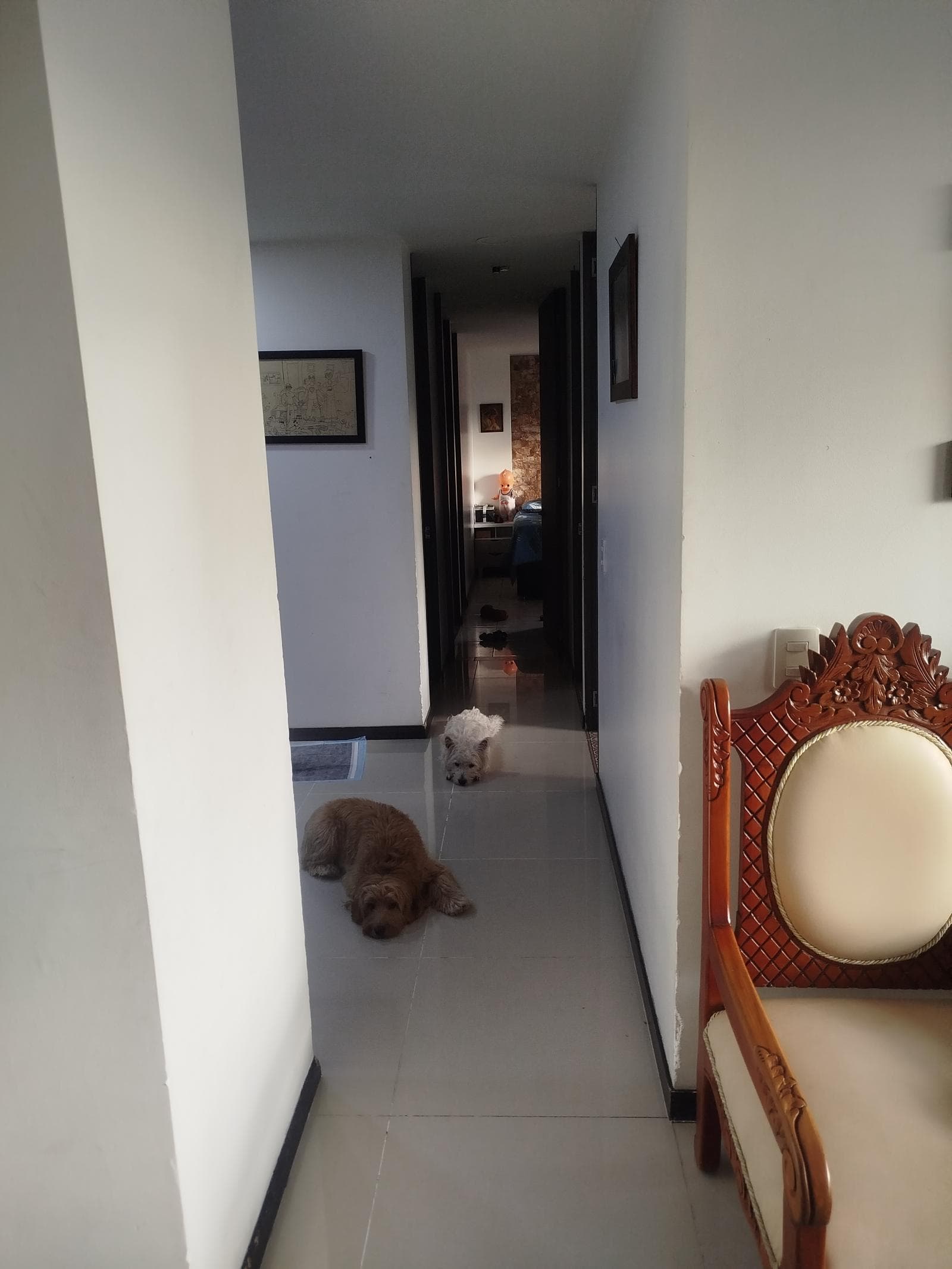 Foto 3 de Hogar confort