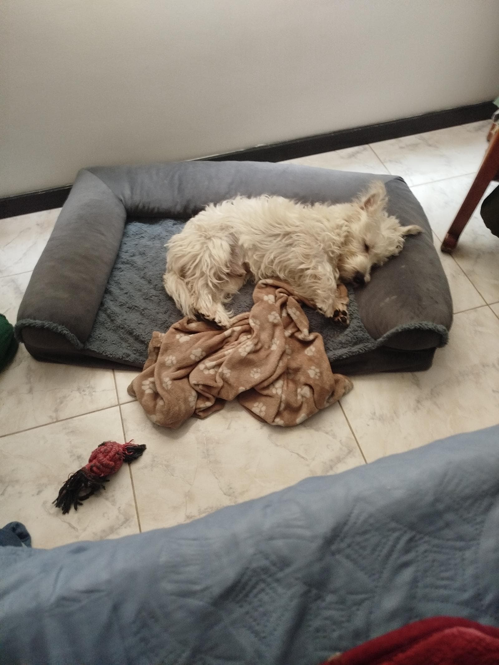 Foto 4 de Hogar confort