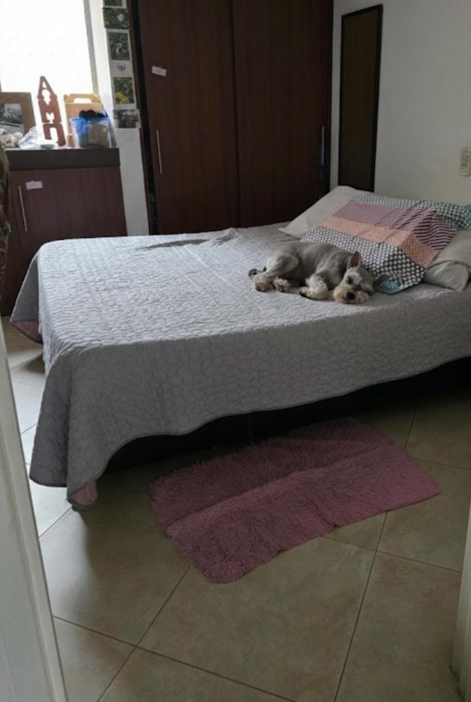 Foto 3 de UN DIA GUAW - Cuidado Canino con Pao