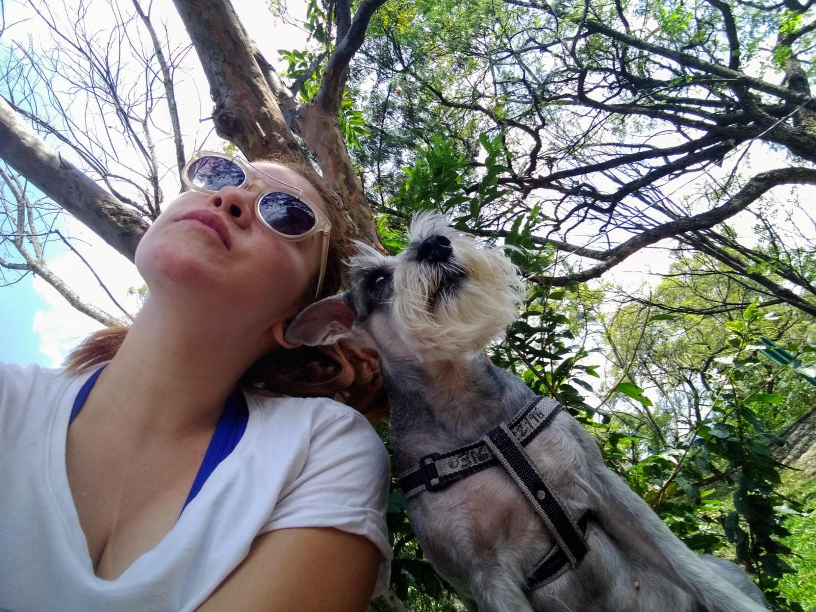 Foto 12 de UN DIA GUAW - Cuidado Canino con Pao