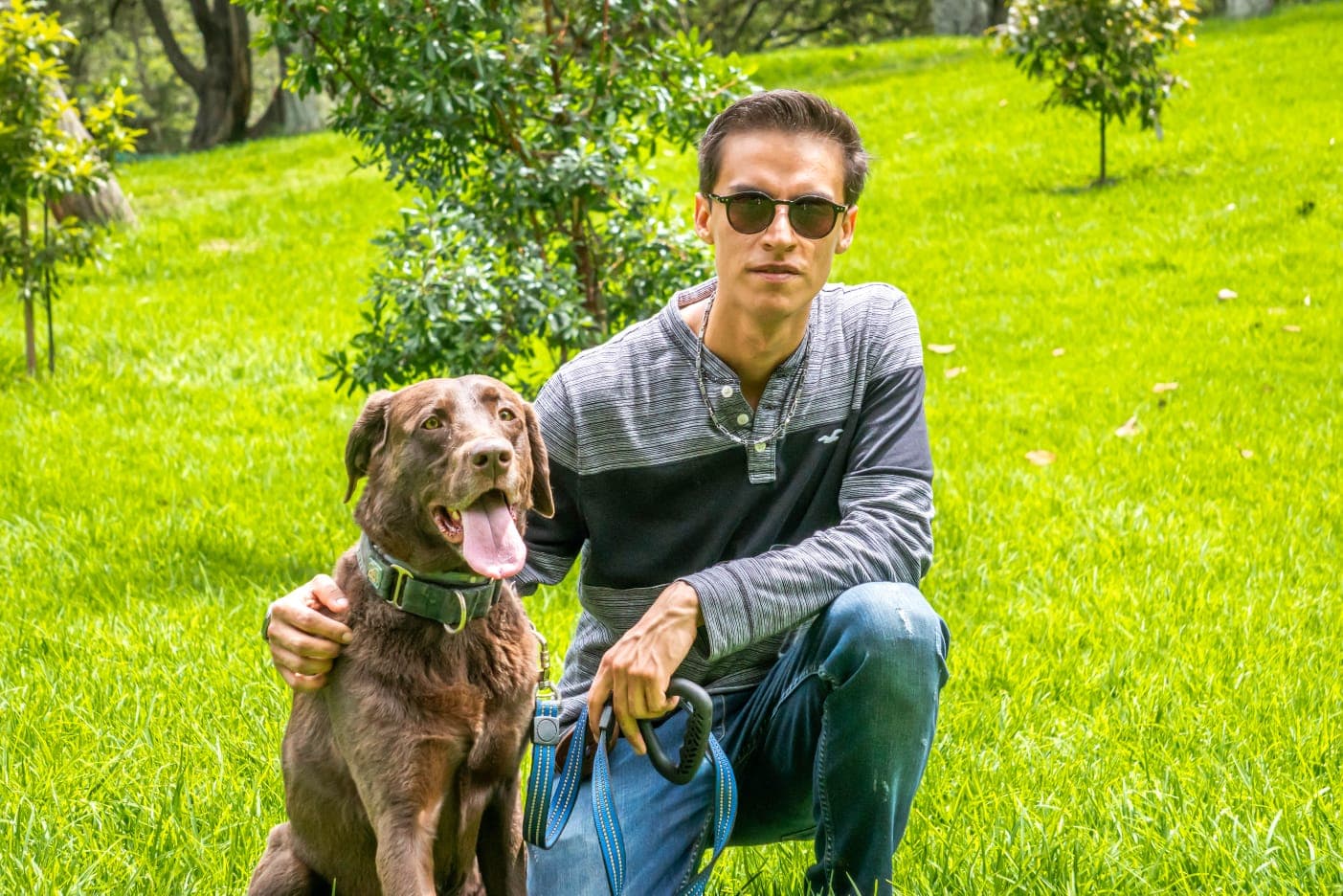 Foto de Dog love house