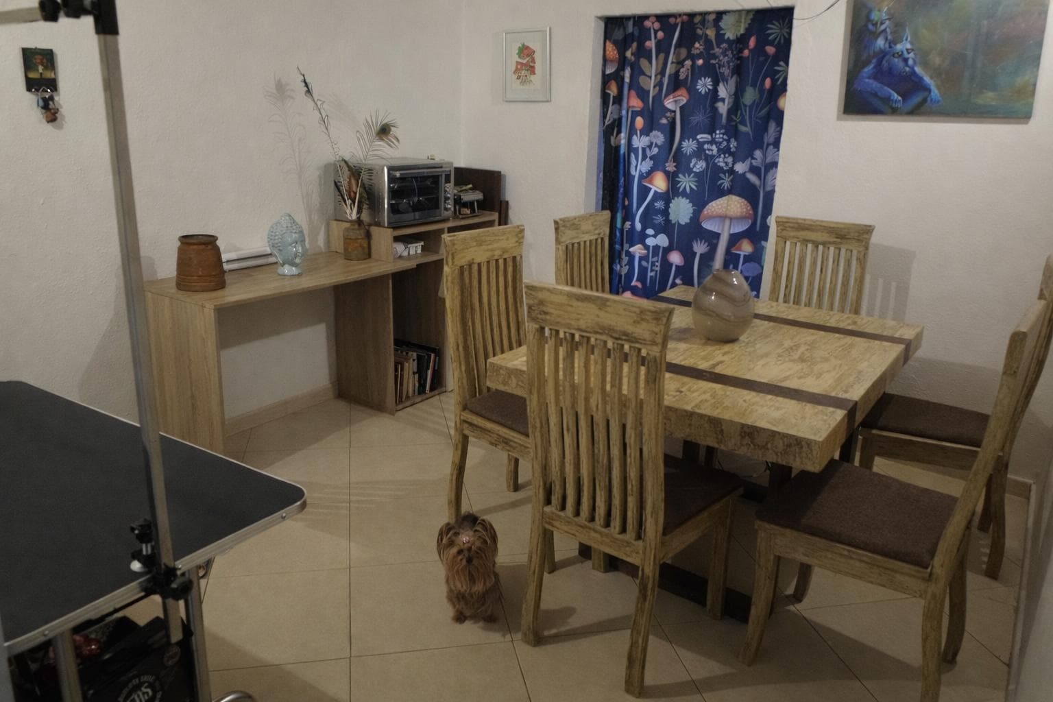 Foto 4 de Hogar animal