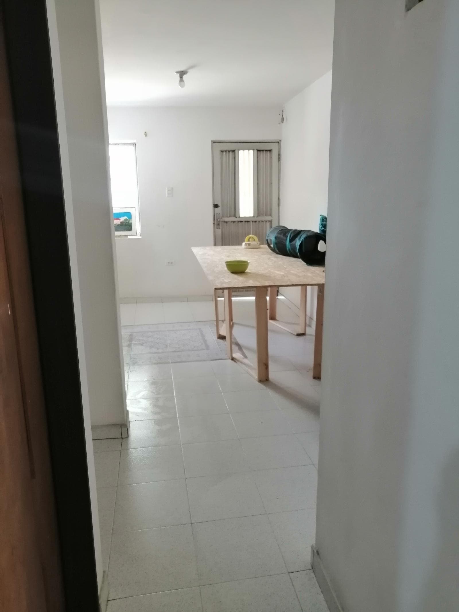 Foto 4 de Casita los peluditos