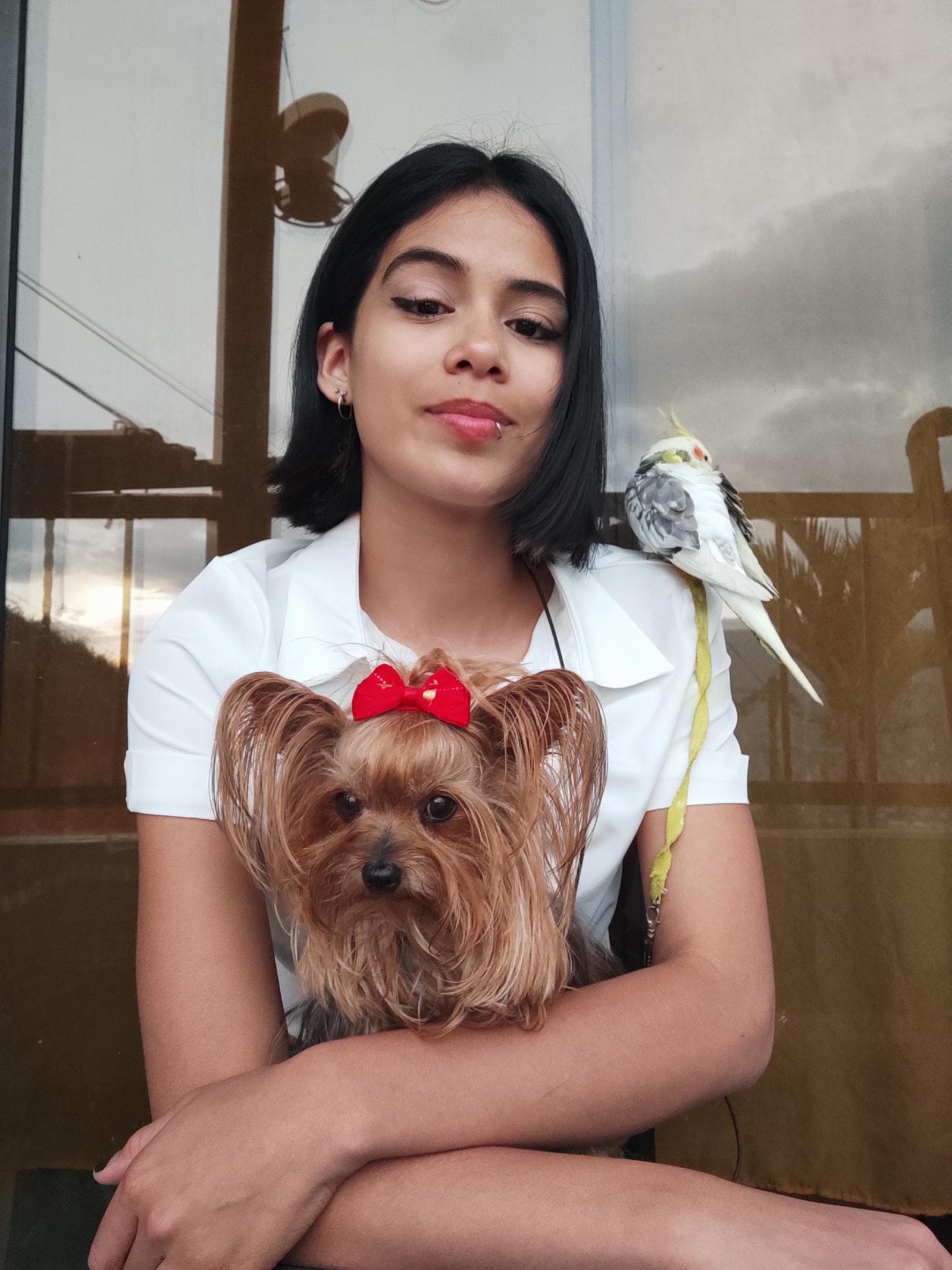 Foto de Hogar animal