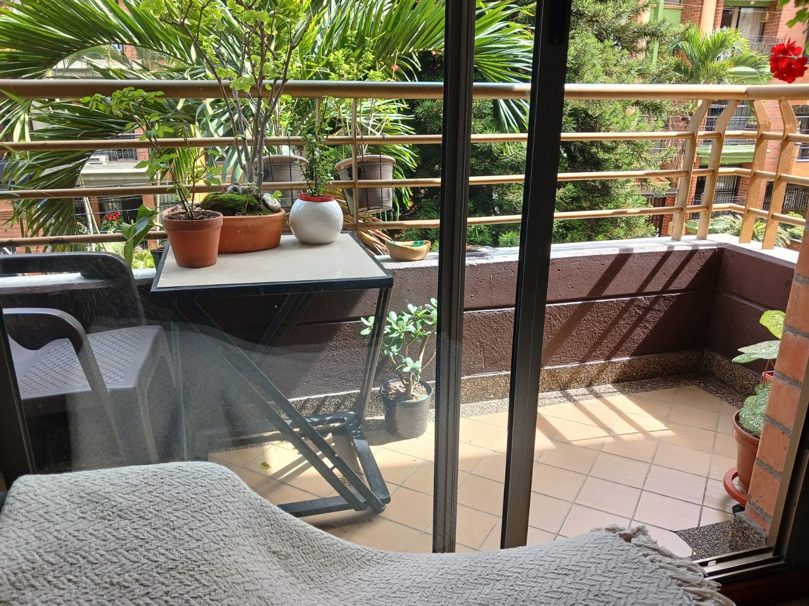Foto 3 de Mi casa un refugio de Cariño para tu peludito!