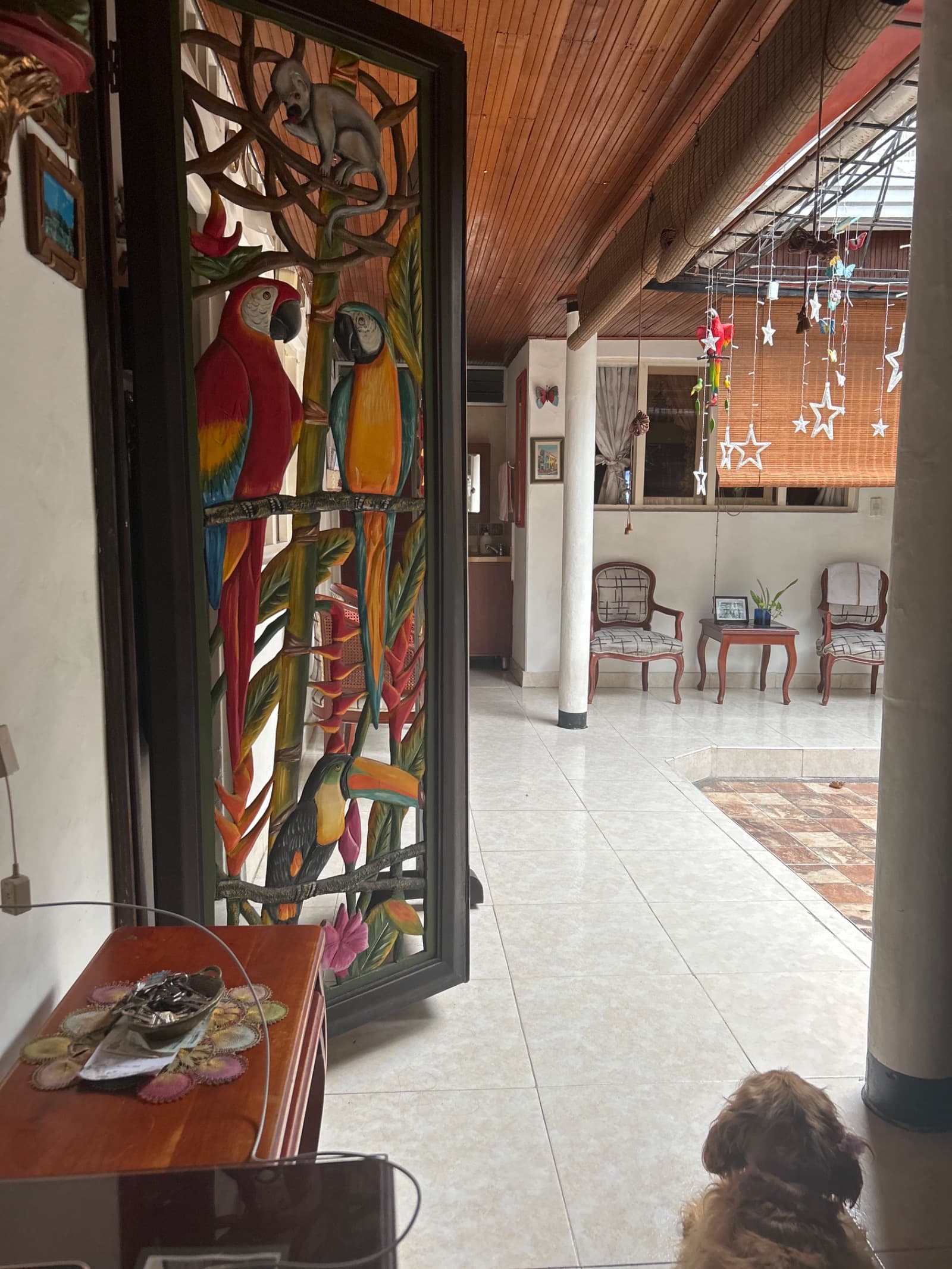 Foto 2 de Casa que ama los perritos