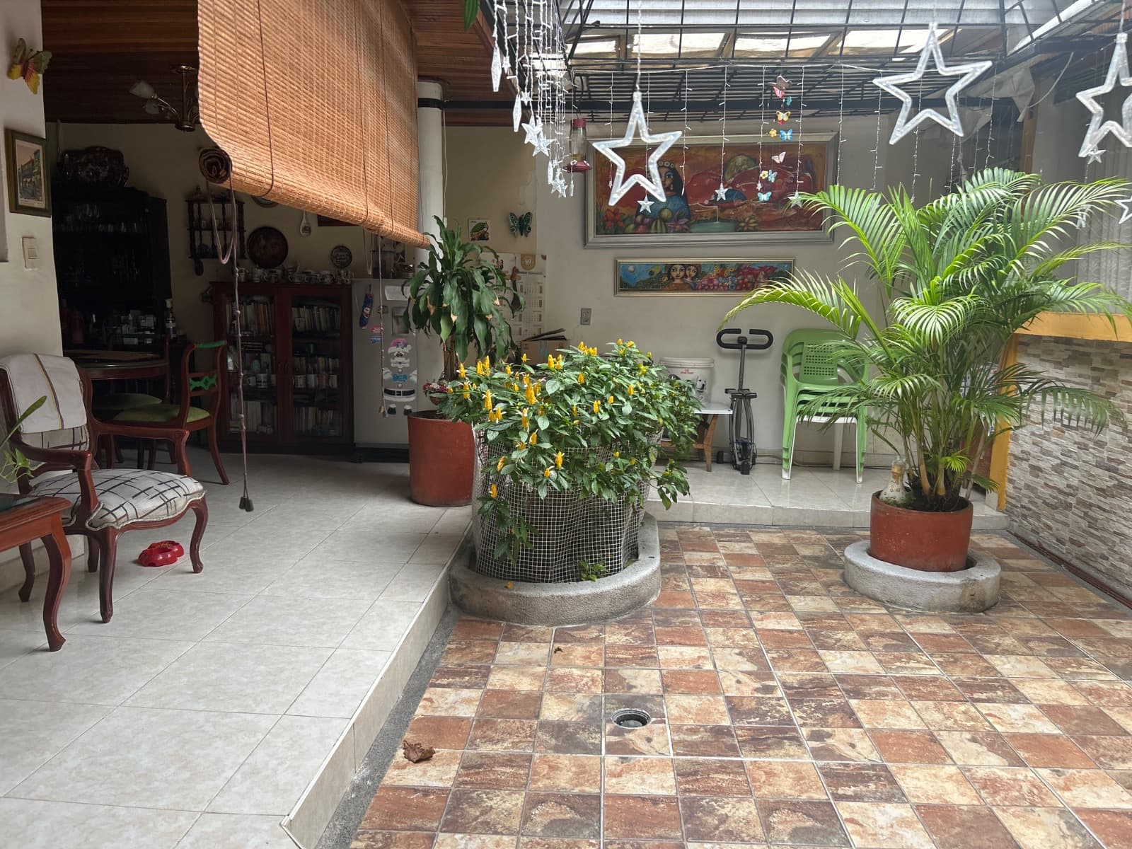 Foto 3 de Casa que ama los perritos