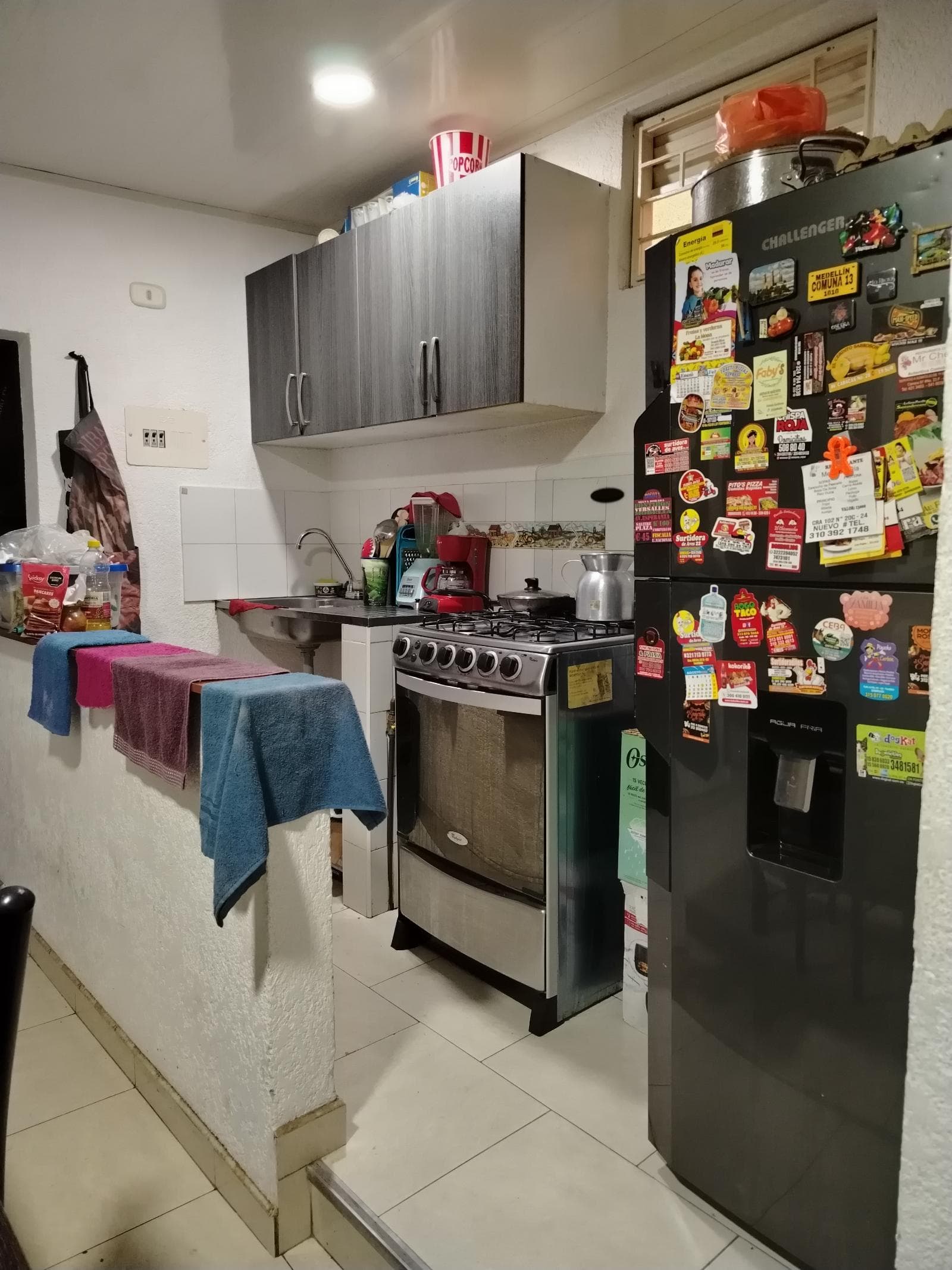 Foto 5 de La Casa de mi Perrito