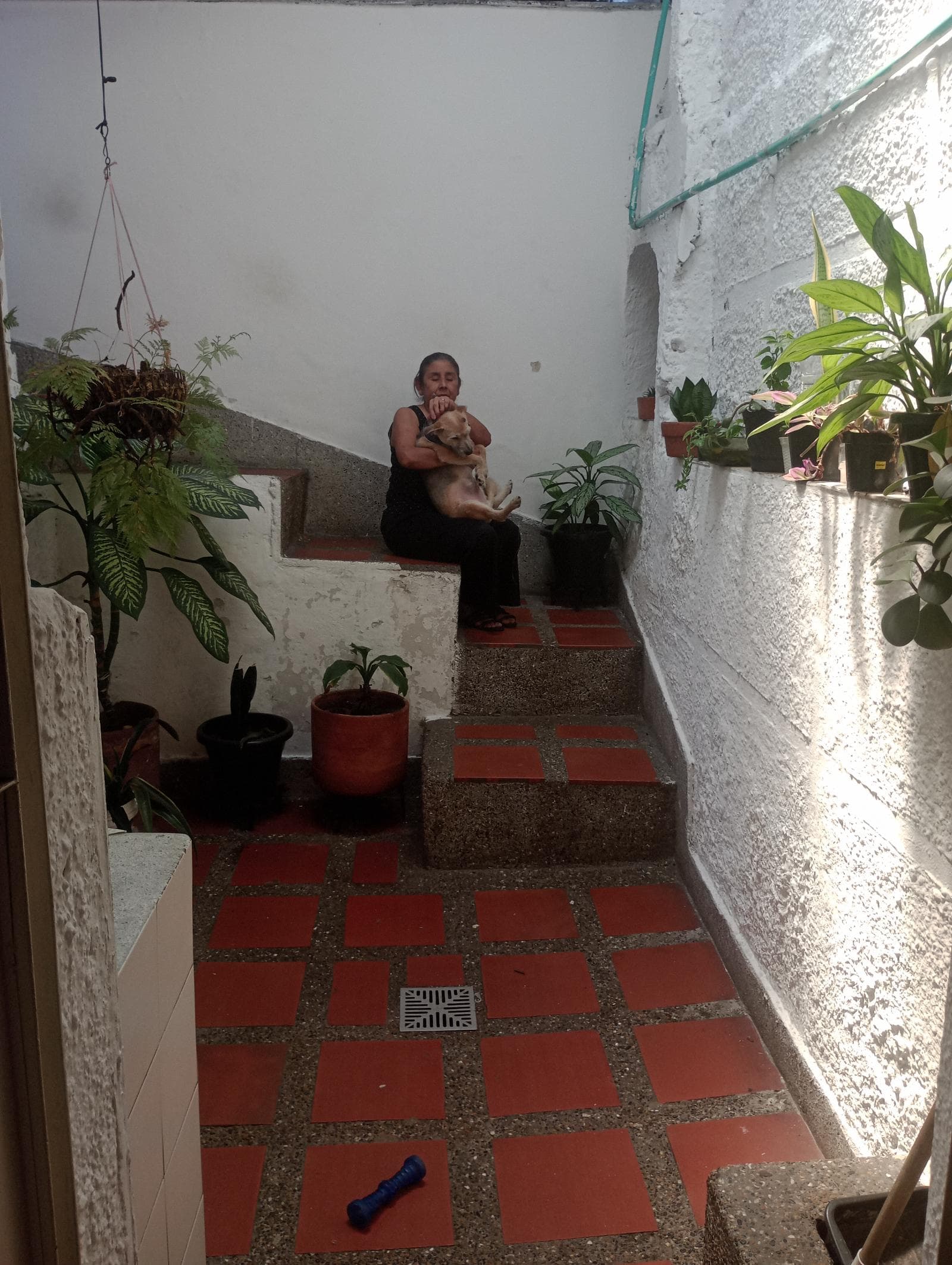 Foto de Casita de luz