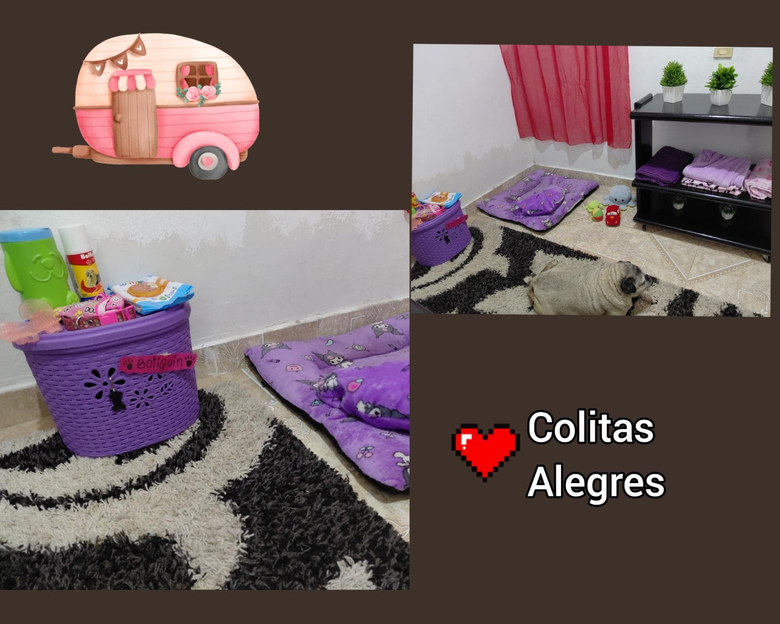 Foto 5 de Colitas alegres