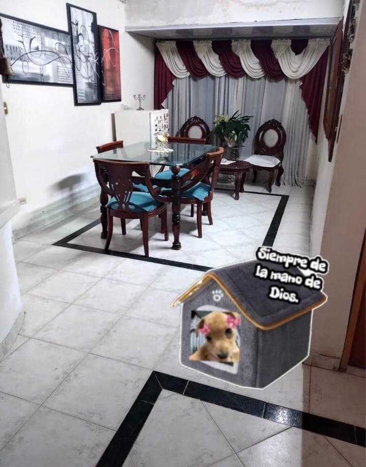 Foto 2 de Cachorros En Casa Mafer.