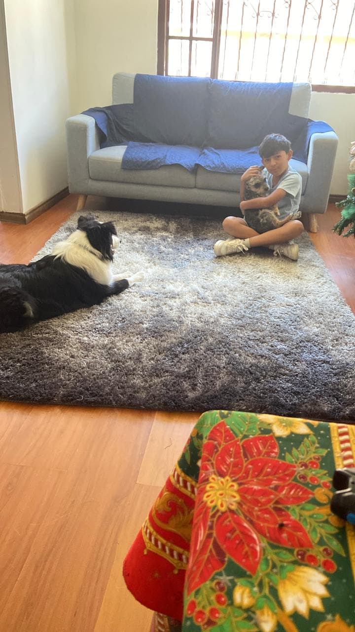 Foto 2 de 1dog3