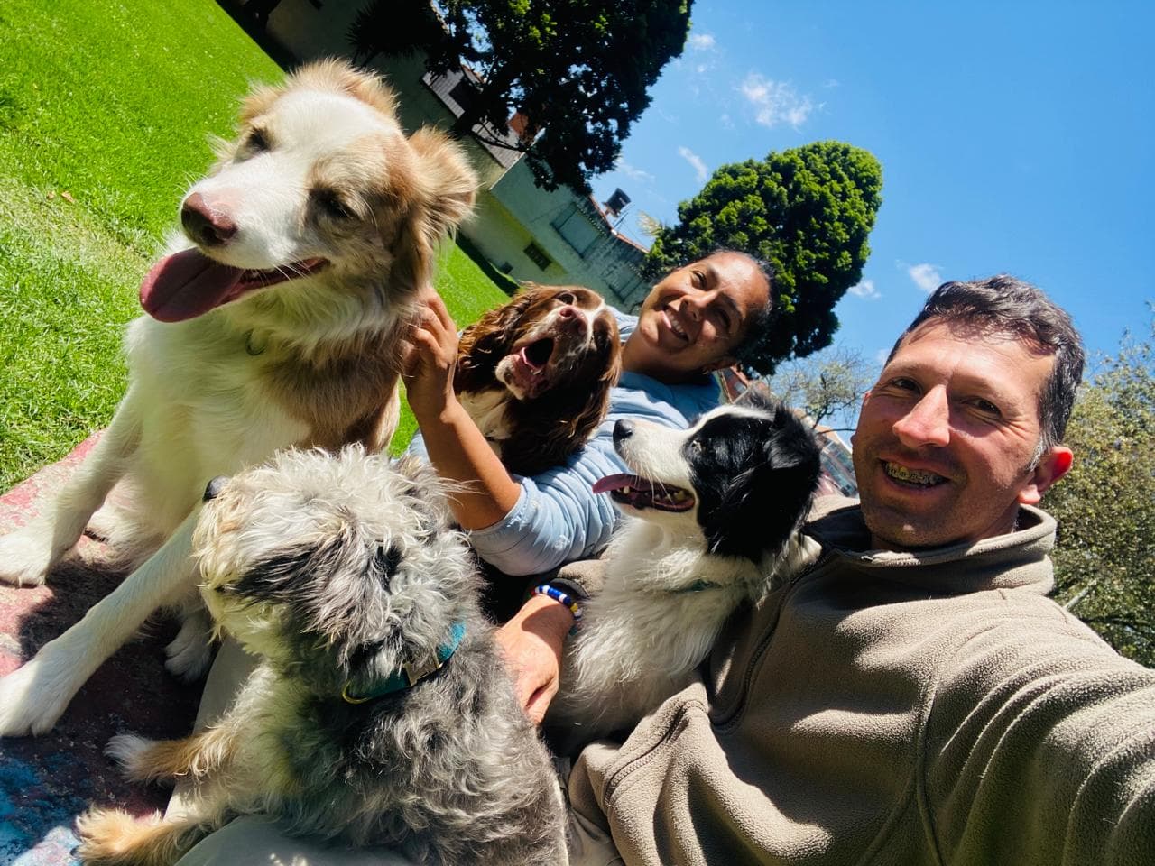 Foto 4 de 1dog3