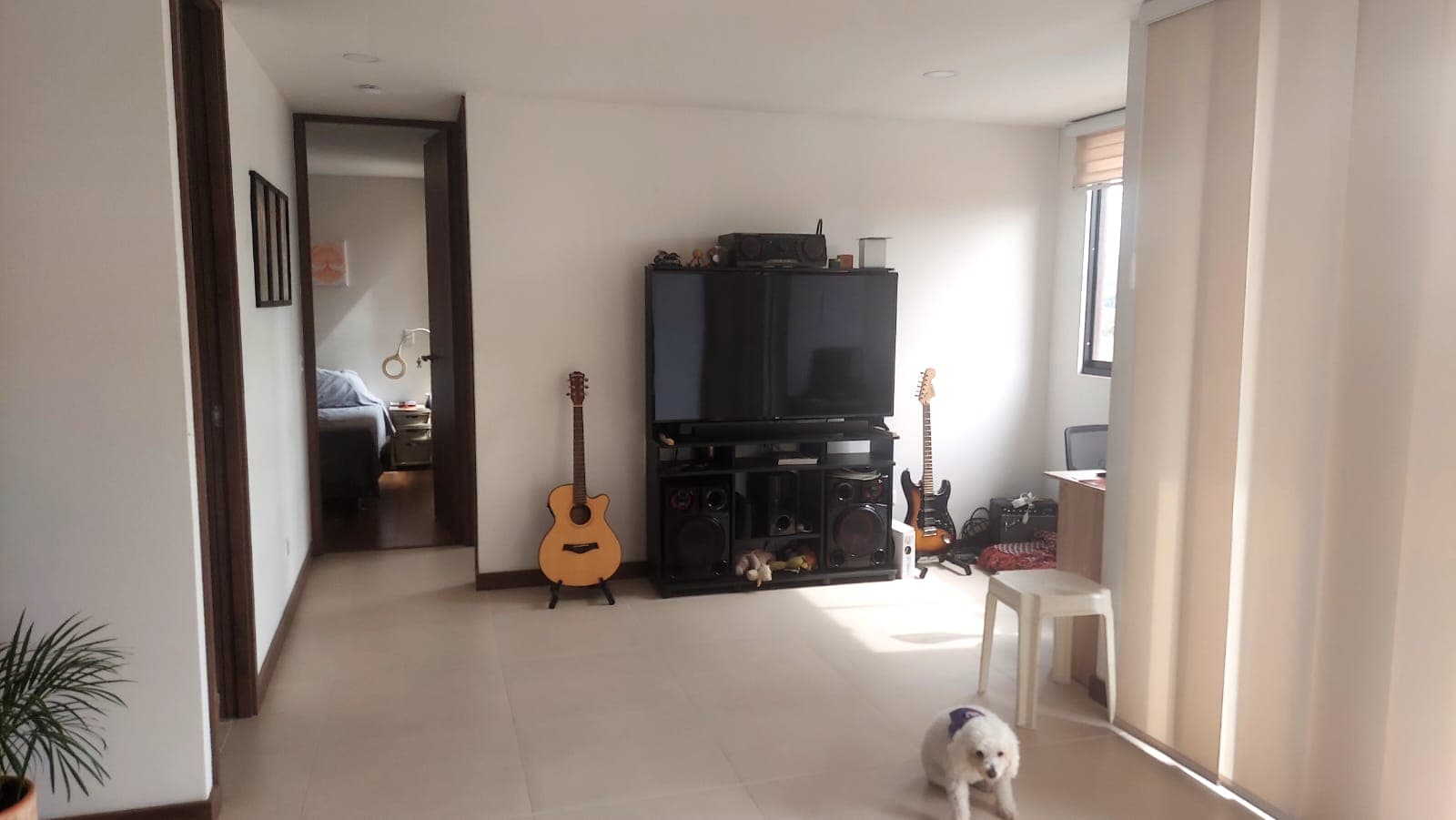 Foto 6 de Amor Canino