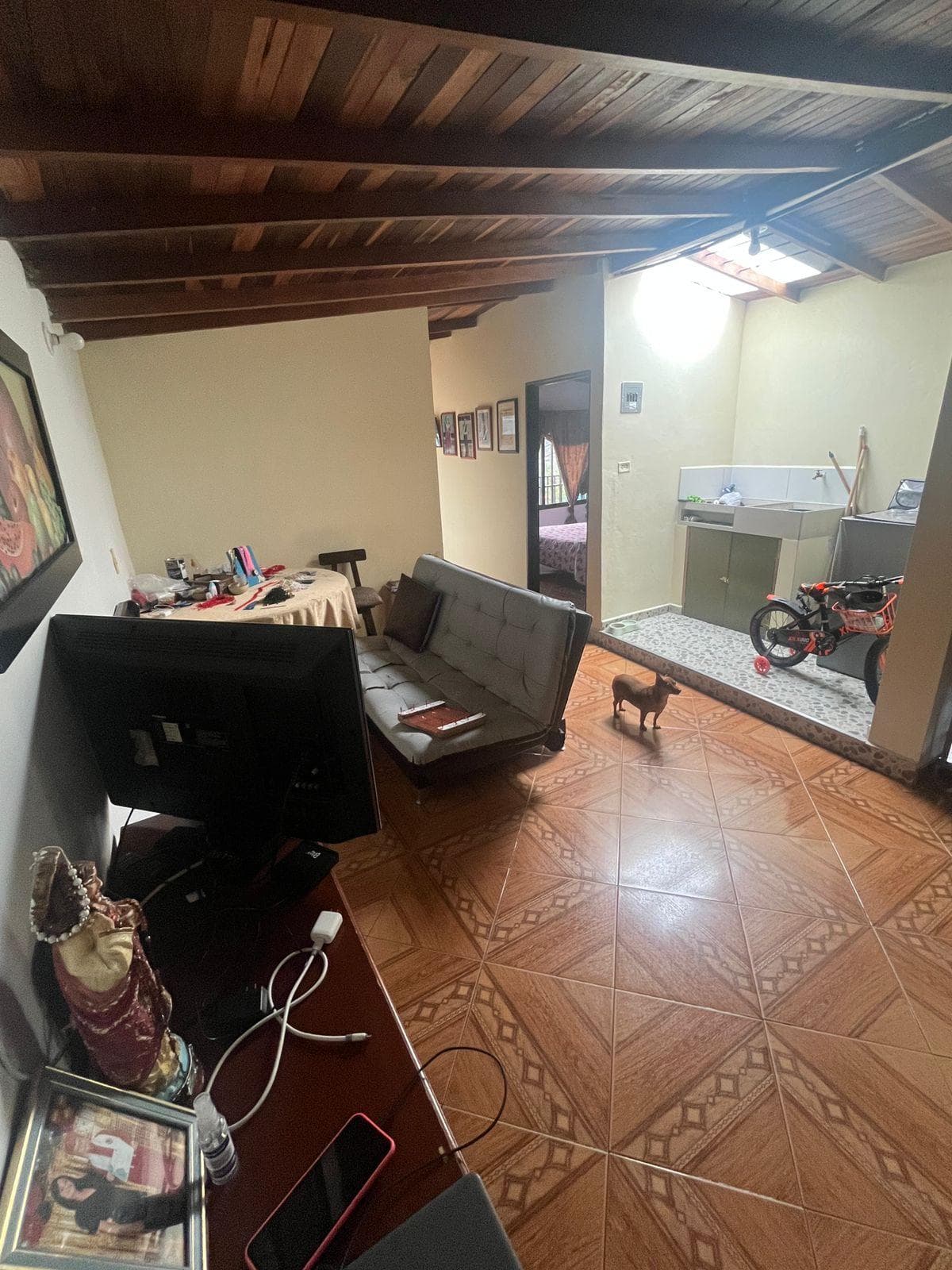 Foto de Huellitas felices