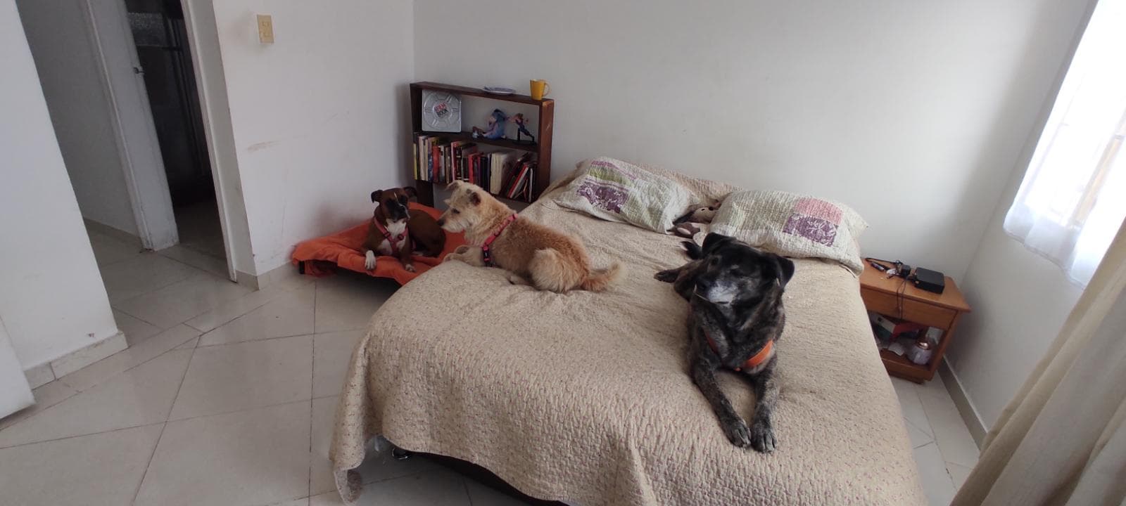 Foto 5 de Casa zooey